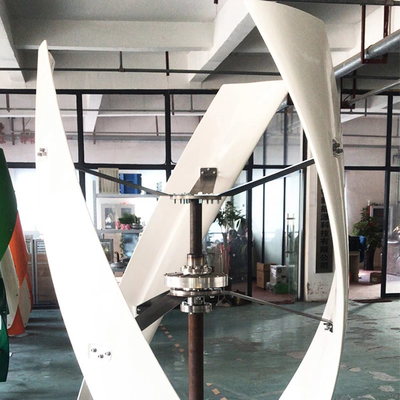 48 générateur de turbine axial de vent du générateur de turbine de vent de spirale de volt 3000W 5000W