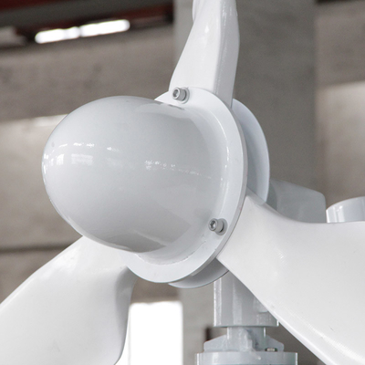 turbine de vent horizontale d'énergie renouvelable du générateur de turbine du vent 1000W 24V 48V
