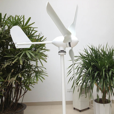 Petite éolienne horizontale horizontale d'axe de la turbine de vent IP65 24V 48V 600W 800W