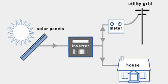 générateur de turbine à vitesse réduite complet de vent du système IP54 de turbine de vent de 12V 24V 220V