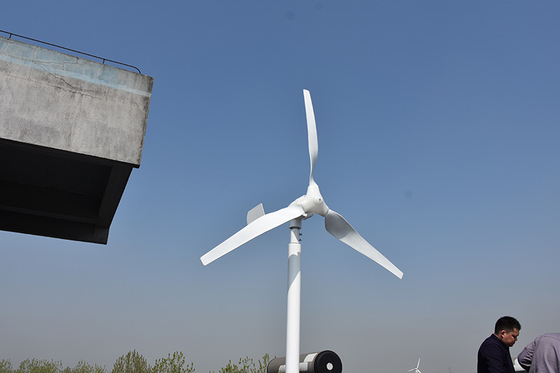 Petite turbine de vent horizontale horizontale d'axe de la turbine de vent d'énergie renouvelable 24Volt 800W 1kW