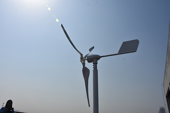 Petite turbine de vent horizontale horizontale d'axe de la turbine de vent d'énergie renouvelable 24Volt 800W 1kW