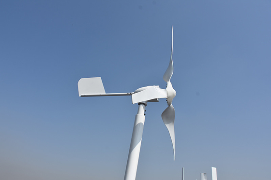 petit moulin de vent horizontal horizontal d'axe de la turbine de vent de 24V 48V 800W 1000W