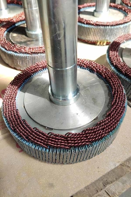 Générateur de vent résidentiel du circuit de génération de turbine de vent de 100KW 220V IP54